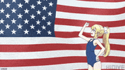 American Flag America GIF by HIDIVE