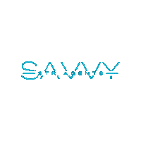 Savvystr Sticker by Savvy STR Agents
