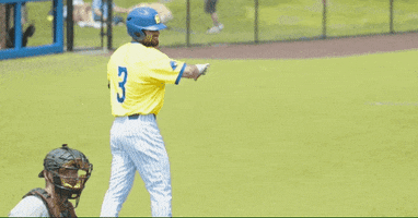 BlueHens friends baseball high five teammates GIF