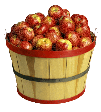 Apple Pie Apples Sticker