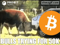 Car Moon GIF by ProBit Global