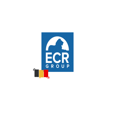 Belgium Sticker by ECRGroup