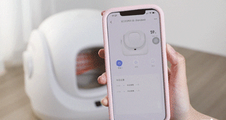 abellee giphyupload GIF