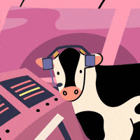 Did You Know Enjoy GIF by Instituto de Nutrición y Salud Kellogg's