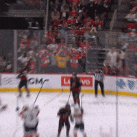 Celebration Win GIF by Florida Panthers