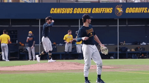 Baseball Youre Out GIF by Canisius Athletics