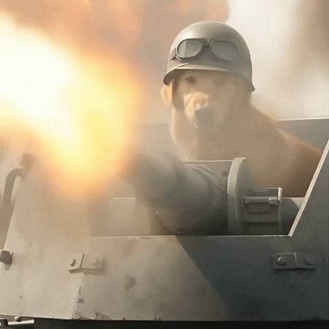 LibertyDog giphyupload liberty bonk bonkfun GIF