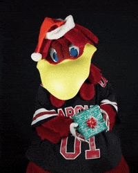 Christmas Winter GIF by University of South Carolina