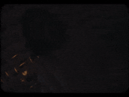 Singapore Dreaming GIF by Topshelf Records