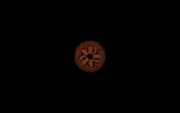 3D Flower GIF by Quasi Crystals