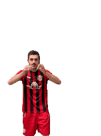 Sgschneifel fussball jubel tor sg Sticker