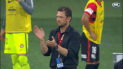 wswanderersfc celebration goal bravo wanderers GIF