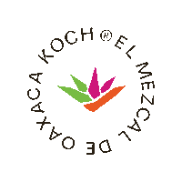 Mexico Tequila Sticker by koch el mezcal