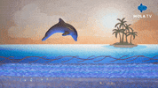 Happy Fun GIF by Mola TV Kids