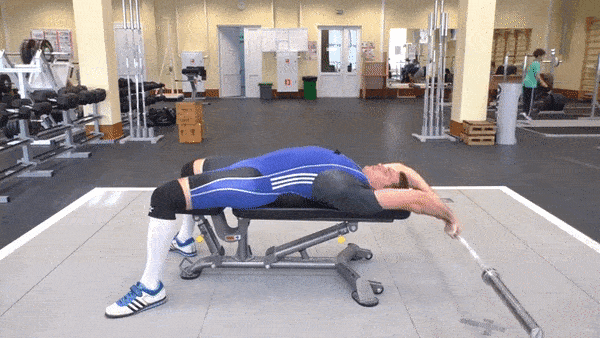 bodybuilding-and-fitness giphyupload pulover shtanga GIF