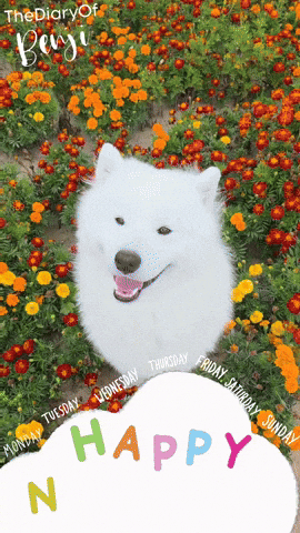 Kick Off Monday GIF