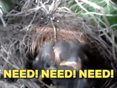 theGrimSleeper giphyupload omg hungry need GIF