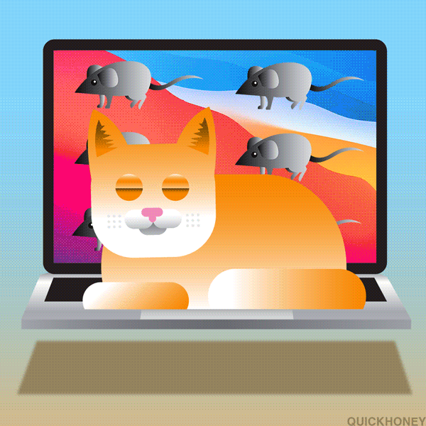 Best Wishes Cats GIF by PEEKASSO