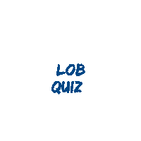 Lob Sticker by Londerzeel Badminton