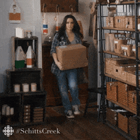 schitts creek no GIF by CBC