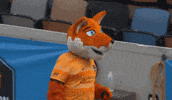 Womens Soccer Fox GIF by National Women's Soccer League