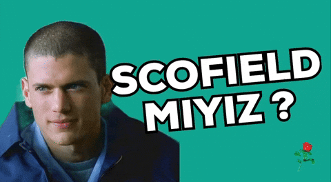 Scofield Miyiz GIF