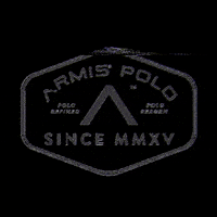 armispolo horse helmet polo armis GIF