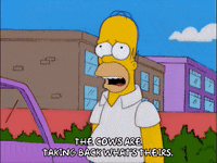 homer simpson GIF