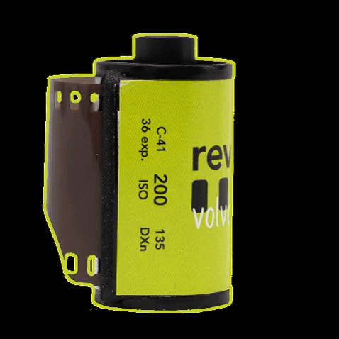 revolog giphygifmaker analog filmisnotdead 35mmfilm GIF