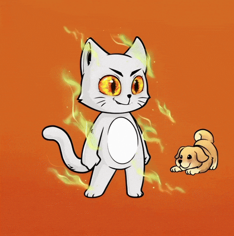 HeroGalaxyNFT cat dog catdog hg GIF