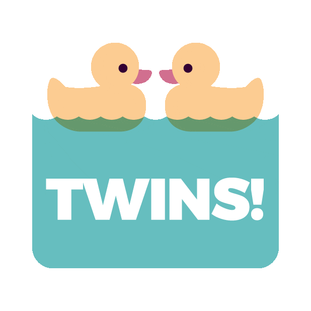 Twins Pregnancy Sticker by What to Expect