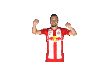Andreas Ulmer Cheer Sticker by FC Red Bull Salzburg