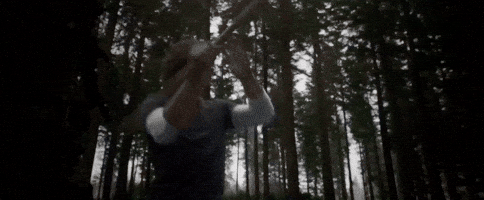 d4b123123r32513244 giphyupload GIF