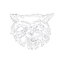 DallastownAreaSchoolDistrict dasd wildcat dtown wildcatnation Sticker