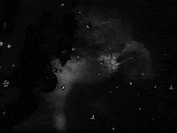 ingmar bergman GIF by Maudit