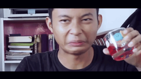 hafiz&friendsrecap2017 GIF