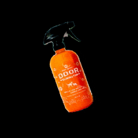angryorange  GIF