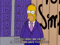 homer simpson show GIF