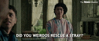 104 GIF by The Roku Channel