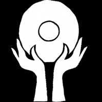 vinilorecordstore vinilo vinilo record store GIF