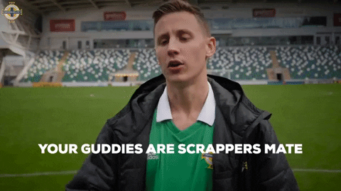 What Are Those Irish Football GIF by Northern Ireland