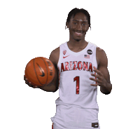 Arizona Wildcats Sticker by Arizona Men's Basketball