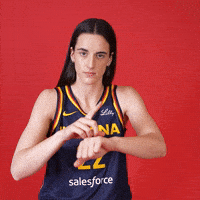 Basketball Wnba GIF by Indiana Fever