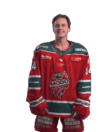 Hockeyallsvenskan Sticker by MoDo Hockey