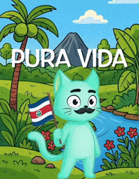 Costa Rica Pura Vida GIF by Hero Galaxy NFT