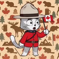 Canadian GIF by Hero Galaxy NFT