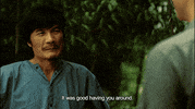 GIF by Film School Shorts