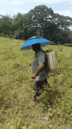 Sombrero paraguas en acción