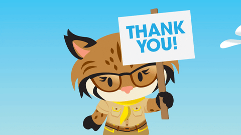 appexchange giphyupload cat thank you thanks GIF