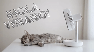 ¡Hola Verano!